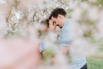 Couples engagement photo session in tree blooms