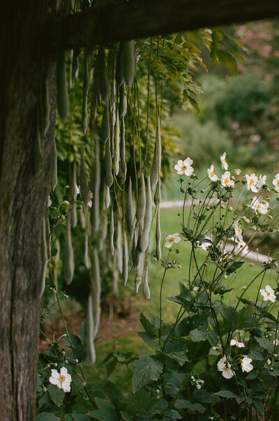 Multi Day Wedding at La Foce, Italy