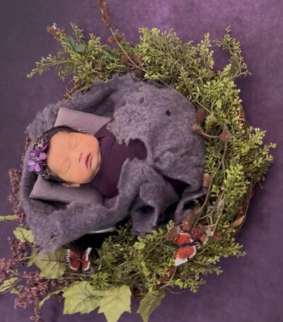 Newborn baby girl wrapped in purple and posed inside wreath.