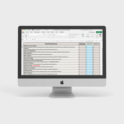 image of a mac computer with an open excel spreadsheet