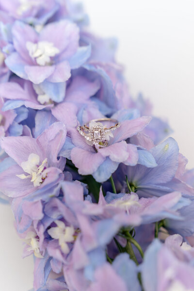 WV PA MD OH VA DC Wedding Photographer