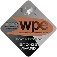 bronze-2