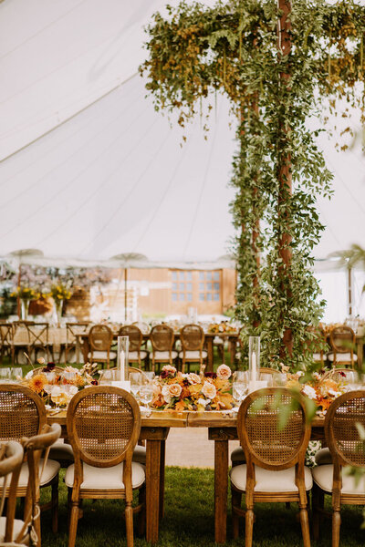 @SofiaDeWolfePhotography_SofiasPicks-7