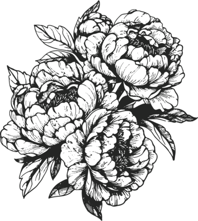 floral illustration