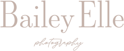 Bailey Elle Photography Wedding Engagment Photographer Indiana6
