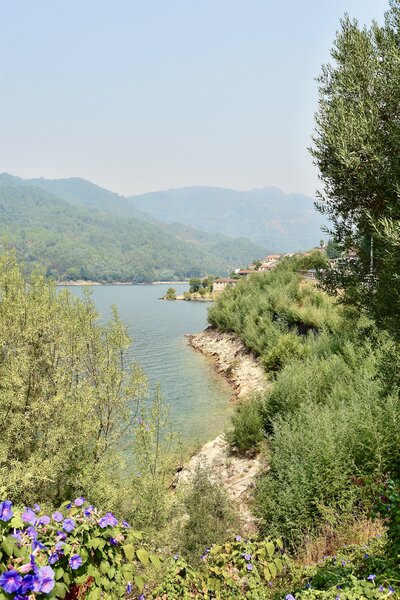 A view overlooking a lake