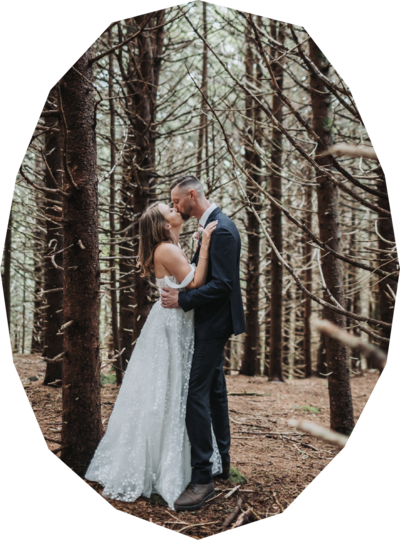 Bride and groom kiss in winter forest - professional photo edit