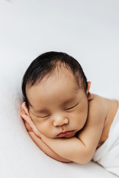 family photographer Chester County, family portrait studio Chester County, newborn photography Chester County, Chester County's best portrait photographer