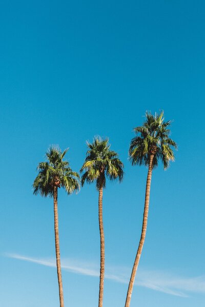 Palm Springs Wedding Photographer