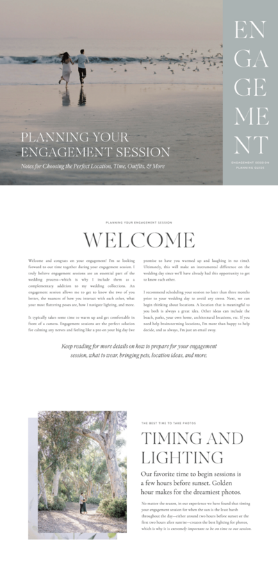 Showit website template screenshot.