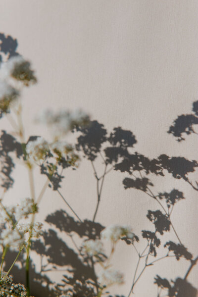 Ocean view wedding at Catalina View Gardens in Palos Verdes, California - 6