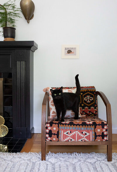 A black cat is standing on top of a chair with patterned cushions and there is a peek of a black fireplace mantel to it's left.