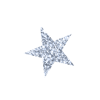 Silver glittery star sticker-type graphic.