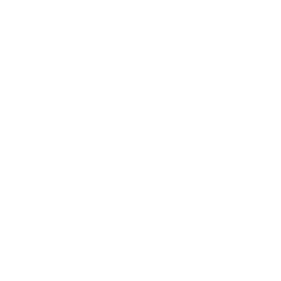 Minimal white logo for Sael Birmingham restaurant with stylised lettering and a macron over the “A”.