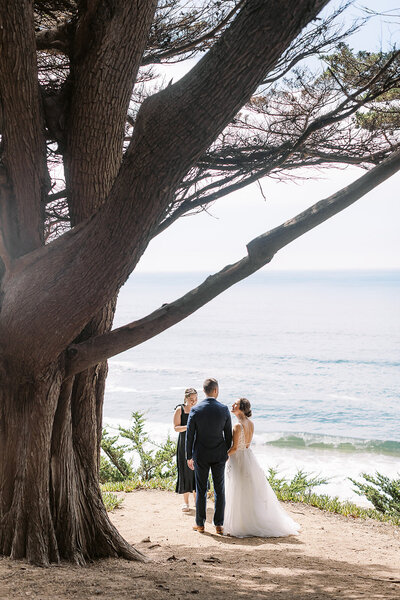 Wedding elopement ceremony on the coast in Northern California