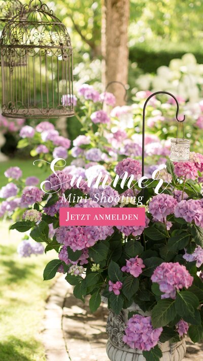 Summer Mini-Shooting-Teaser