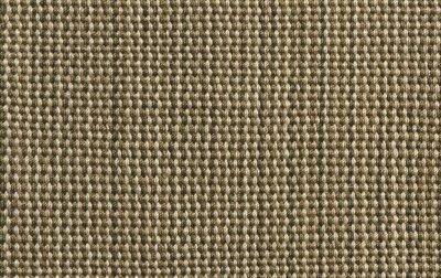 Serra - Sedge