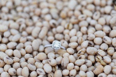 carson-rosario-esession-80