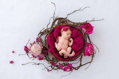 Newborn nestled in a wooden bowl surrounded by bright pink flowers and intertwined branches, captured in Overland Park, Kansas. A whimsical and colorful setup perfect for families seeking creative and nature-inspired newborn photography in the Kansas City metro area