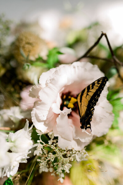 Hudson Valley wedding photographer for fun couples and destination weddings