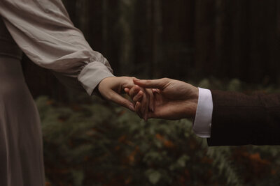 detail shot brides hand leading husband through the redwoods of california