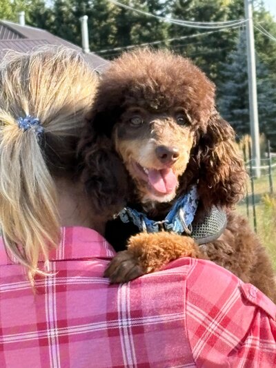 17c1a5a3-1aeb-4269-82c2-11323ef3aeef