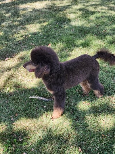 a6cd8636-a8c2-4780-8f9d-7c50de3ab9d5