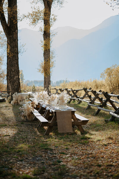 Jackson Hole Wedding reception with Photography, planning, and floral package
