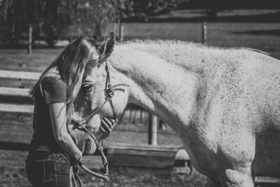 intimate moment with horse owner and horse