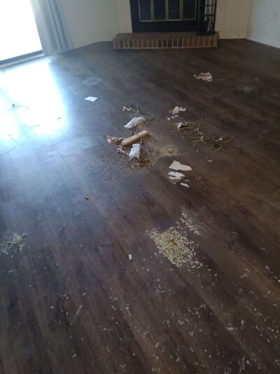 Reliable Commercial Cleaning And Janitorial Services by Rocket City Cleaning Crew