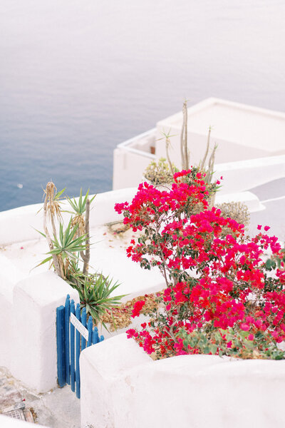 mailys-fortune-photography-travel-destination-weddings2