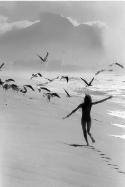 Release the past with our emotional mastery course