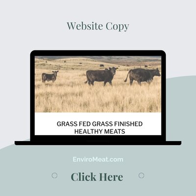 website copy portfolio