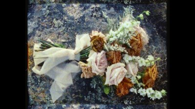Spring wedding reception tablescape on film photo at Ma Maison in Dripping Springs, Texas, featuring citrus inspired florals, pink napkins, and a view of the oak trees and fountain.