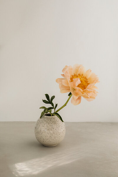 kaboompics_blooming-summer-a-floral-backgrounds-collection-31885
