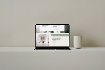 Squarespace Web Design minimalist