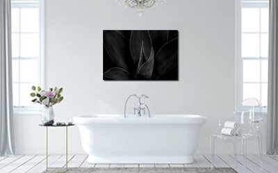 Fine Art Limited Edition Botanical Photography Metal Print Black and White closeup of flower leaves title Surge display example hanging on wall above bathtub in bathroom