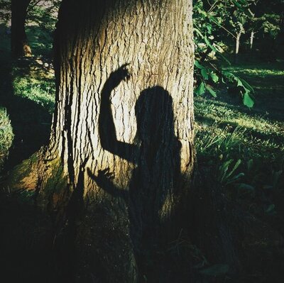 ombre-arbre-danse-posture-femme