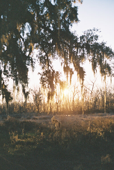 Houston engagement session location