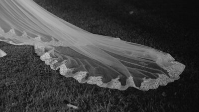 Cathedral veil in the sunlight.
