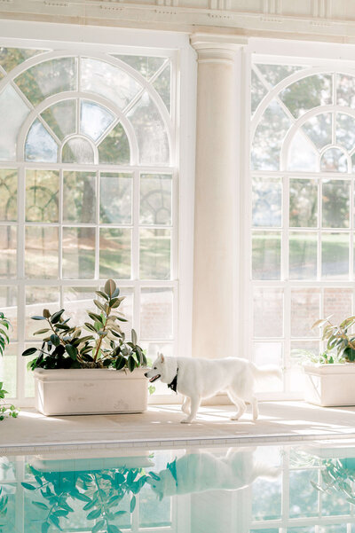 a sunlit room with large glass windows