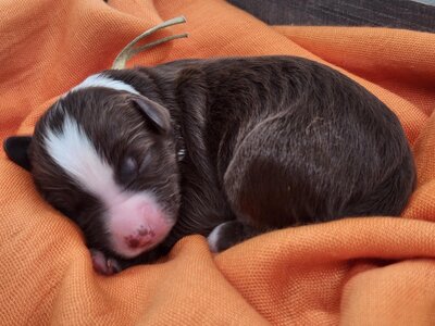 af444a51-8eda-4c06-aa3e-cbee0cfcd360