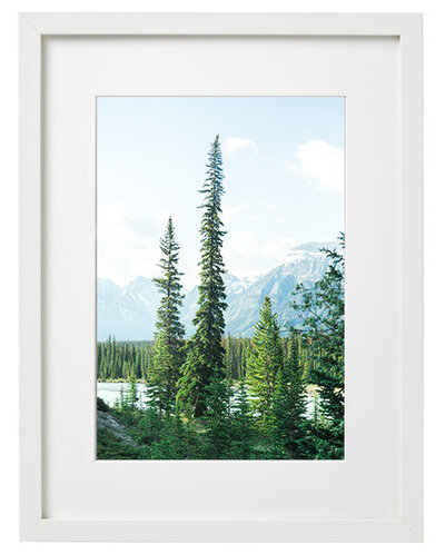 ribba-frame-white__alpinetreesprint