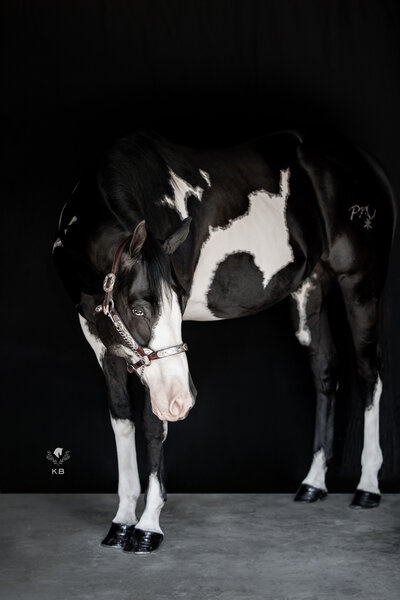 Kacy Brown Photography-12