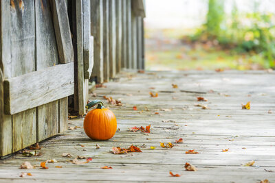 bigstock-Small-Pumpkin-Sitting-On-Woode-204441310