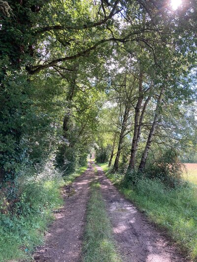 Les randonnées pédestres à Cordes-sur-Ciel