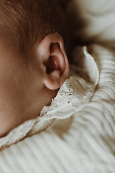 Byannemulder-4