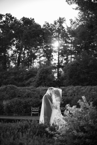 Elopement Wedding Packages Rhode Island | Kelsey Sheehan Photography Timeless Rhode Island Weddings | A couple stands closely in a garden, wrapped in a veil, with sunlight streaming through tall trees in the background. The scene conveys romance and tranquility.
