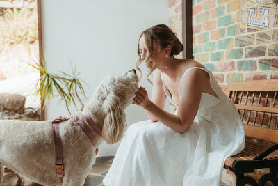 A lovely image of a bride with her fur baby while getting ready for her wedding day