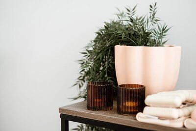 pot plant and candles sitting on a shelf